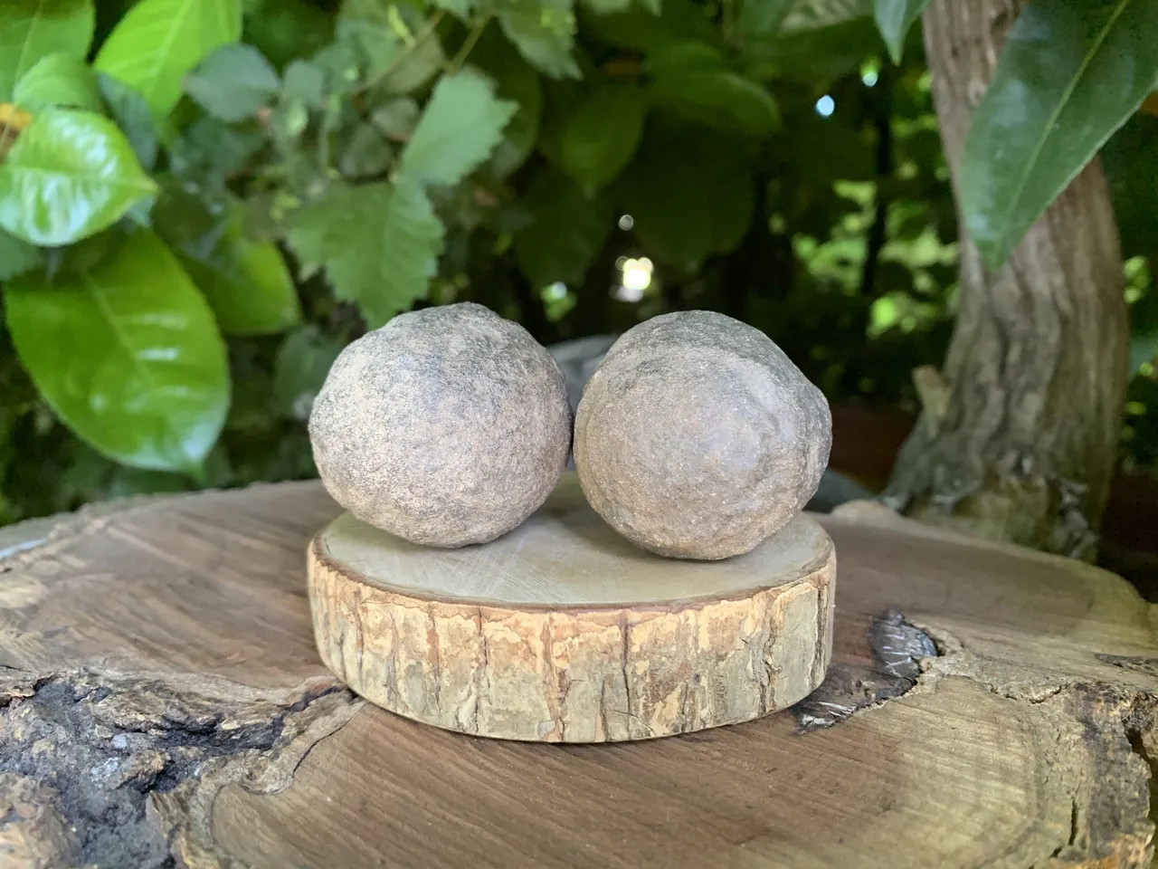 Moquis Marbles 4 cm (mâle et femelle) - USA - Pierre Chamanique Naturelle Rare