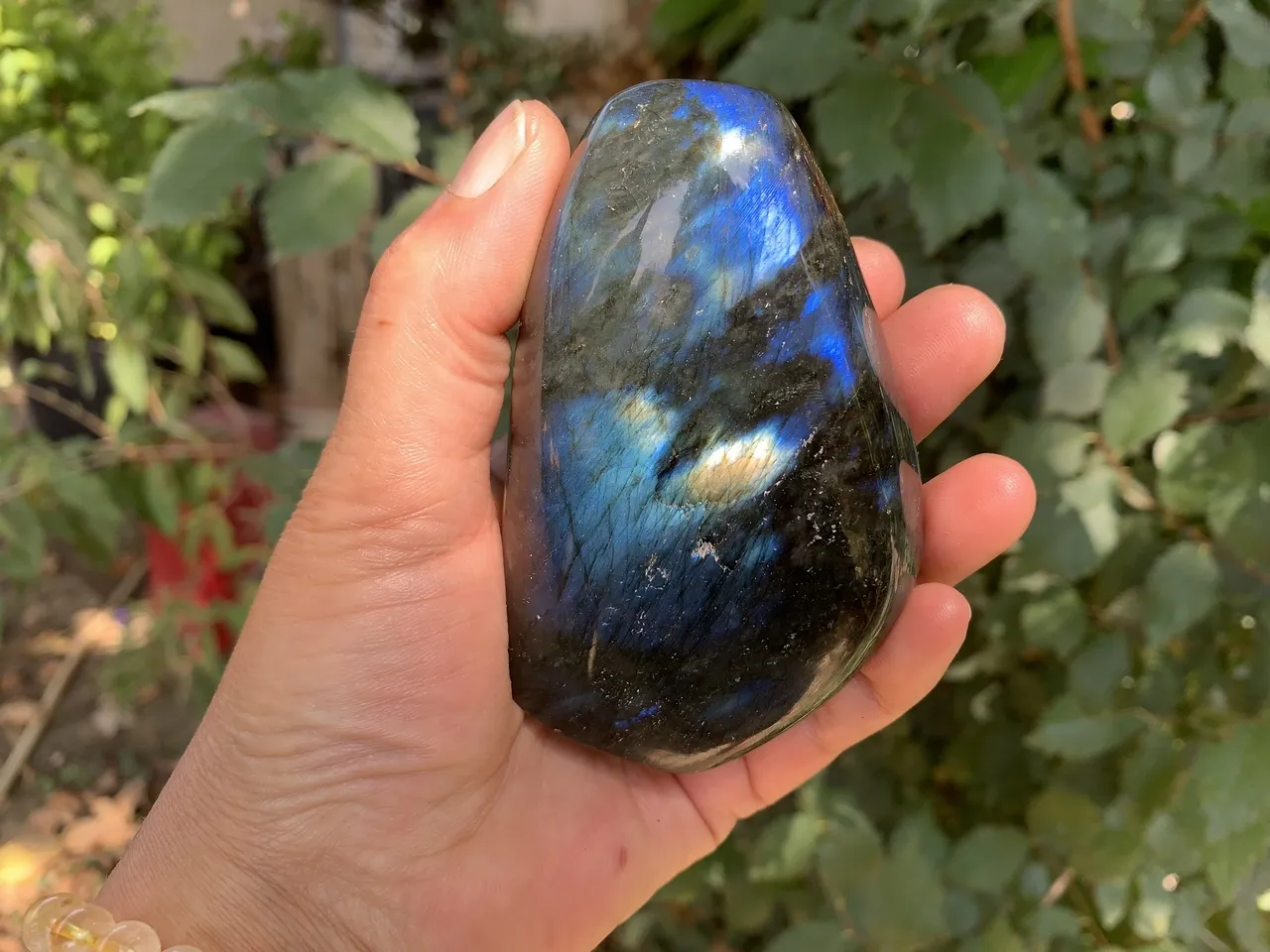 Labradorite bleue A naturelle forme libre - Protection & Éveil Spirituel