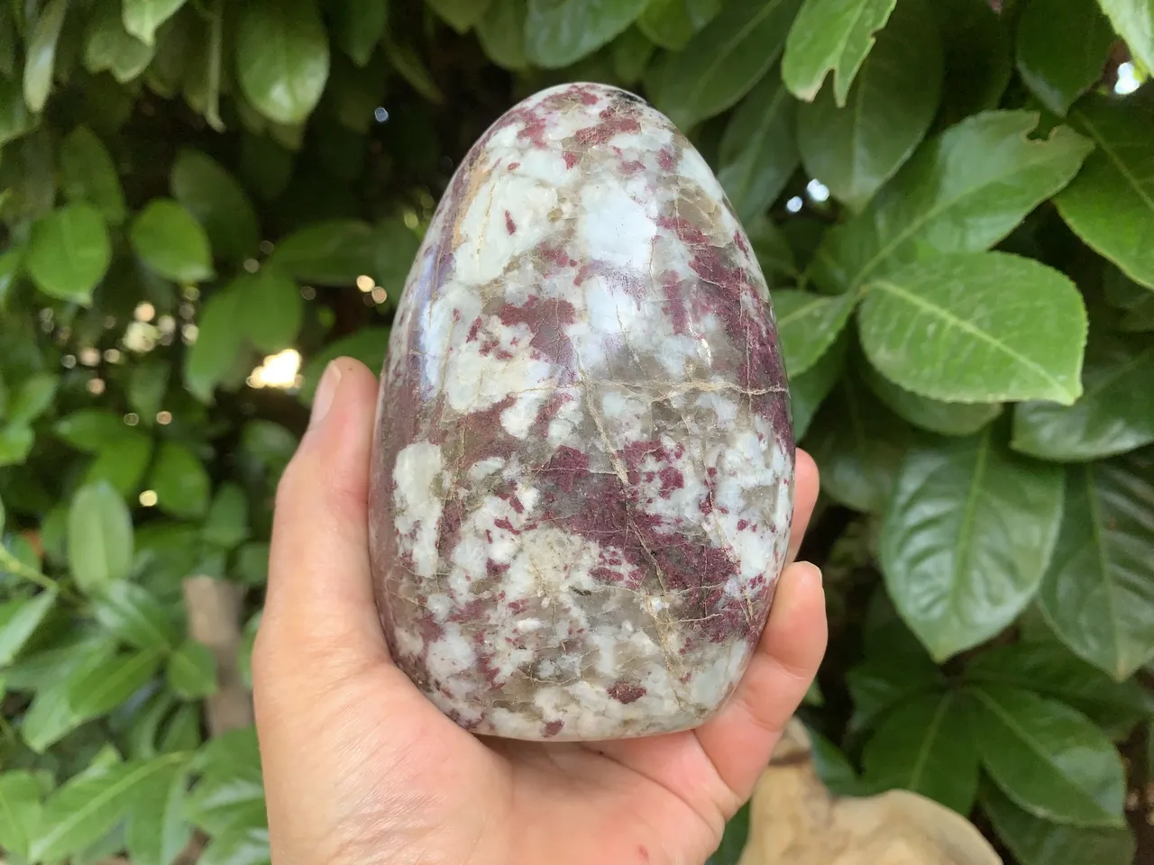 Tourmaline Rouge sur Quartz AA  - Alchimiste émotionnelle et Vitalité -  Madagascar