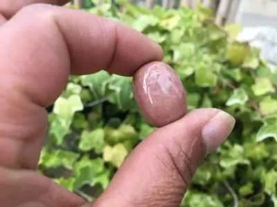 Thulite