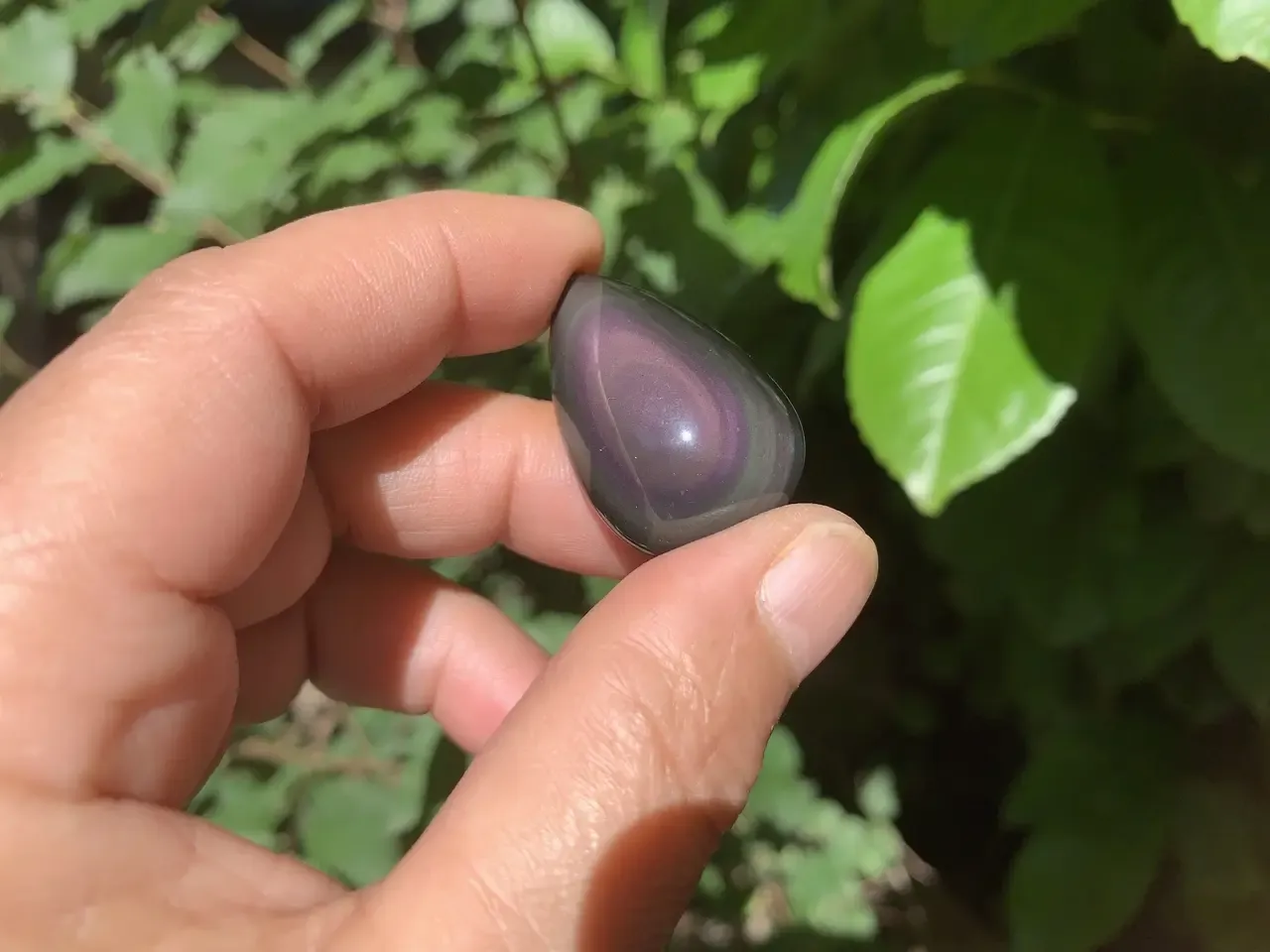 Obsidienne Œil Céleste Naturelle Extra - Mexique