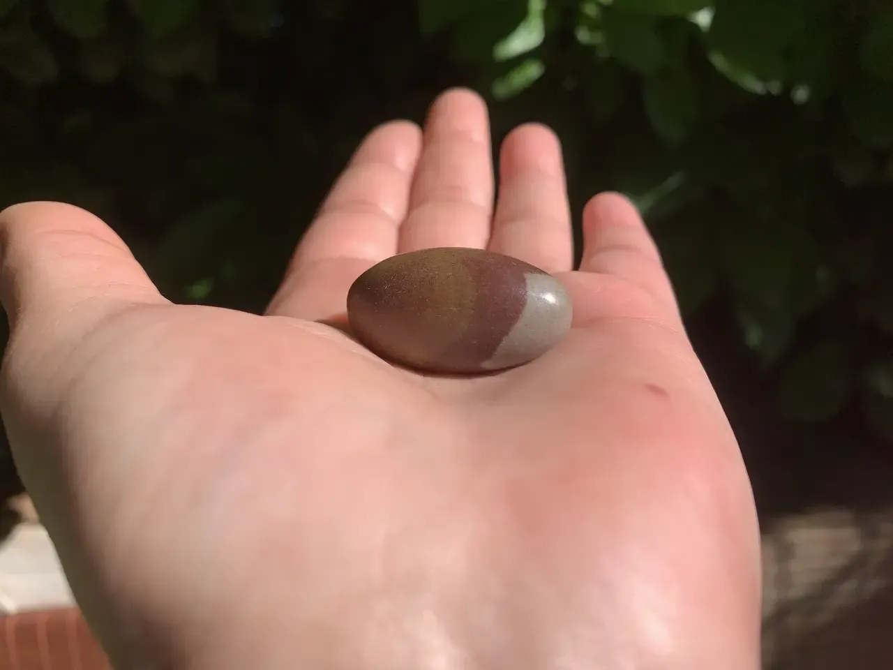 Shiva Lingam Naturel AA - Pierre des Chamanes - Inde