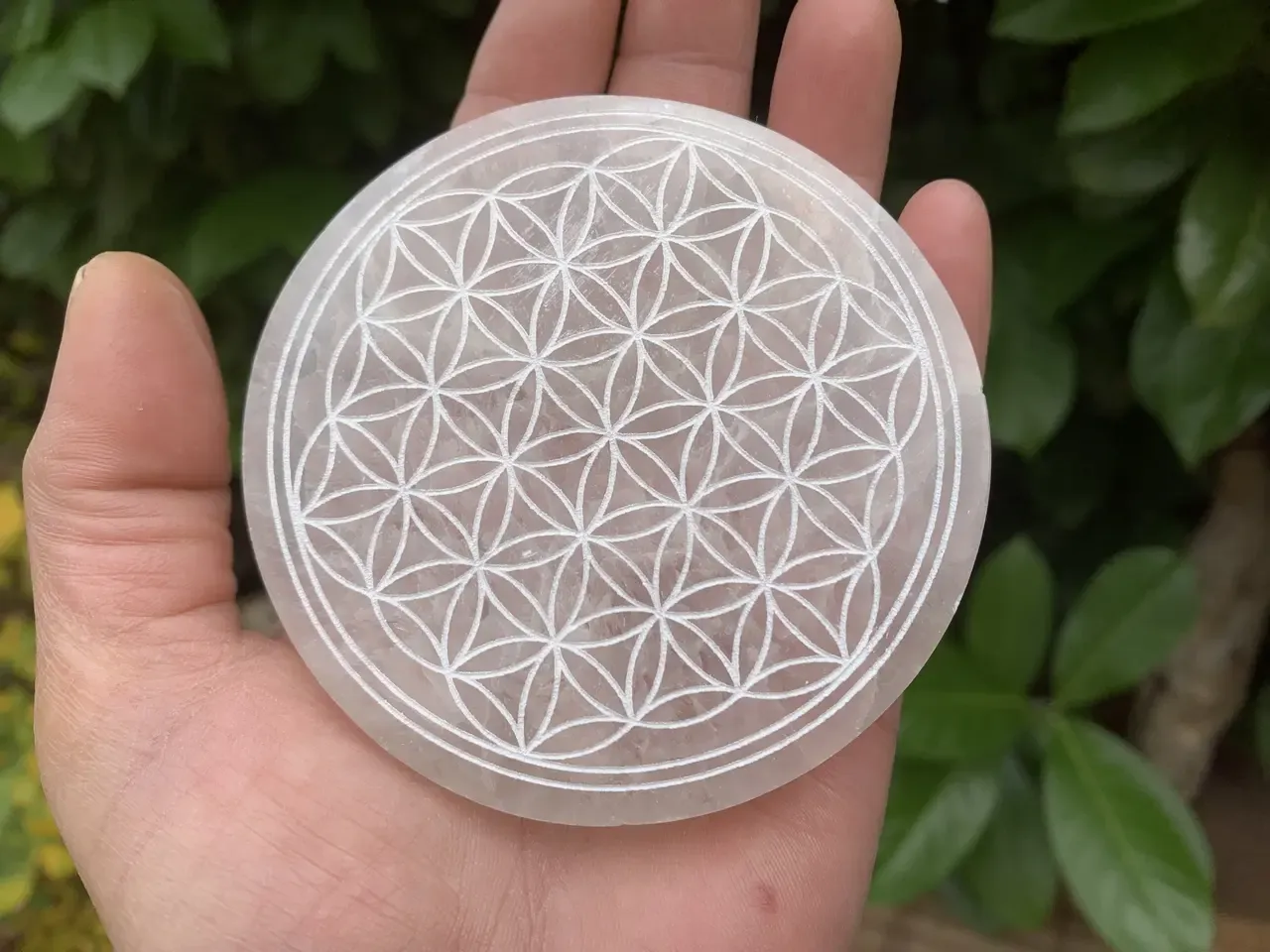 Fleur de Vie Sélénite A+ naturelle - Purification & Rechargement