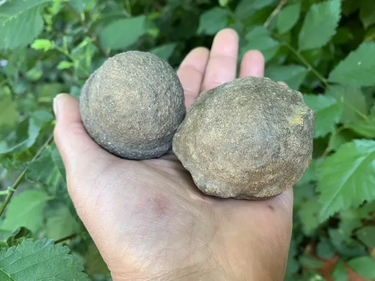 Moquis Marbles (mâle et femelle) Naturels USA - Protection et Introspection - Pierres Chamaniques Rares Moquis Marbles (mâle et femelle) Naturels USA - Protection et Introspection - Pierres Chamaniques Rares