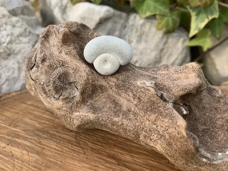 Pierre des Fées Naturelle - Canada - Pierre Chamanique Rare Pierre des Fées Naturelle - Canada - Pierre Chamanique Rare