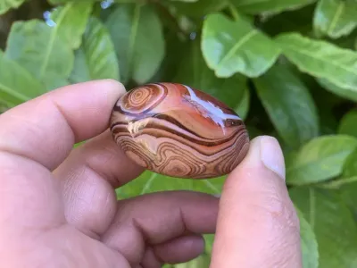Sardonyx