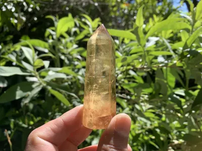 Pointes & biterminées