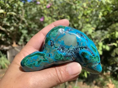 Chrysocolle