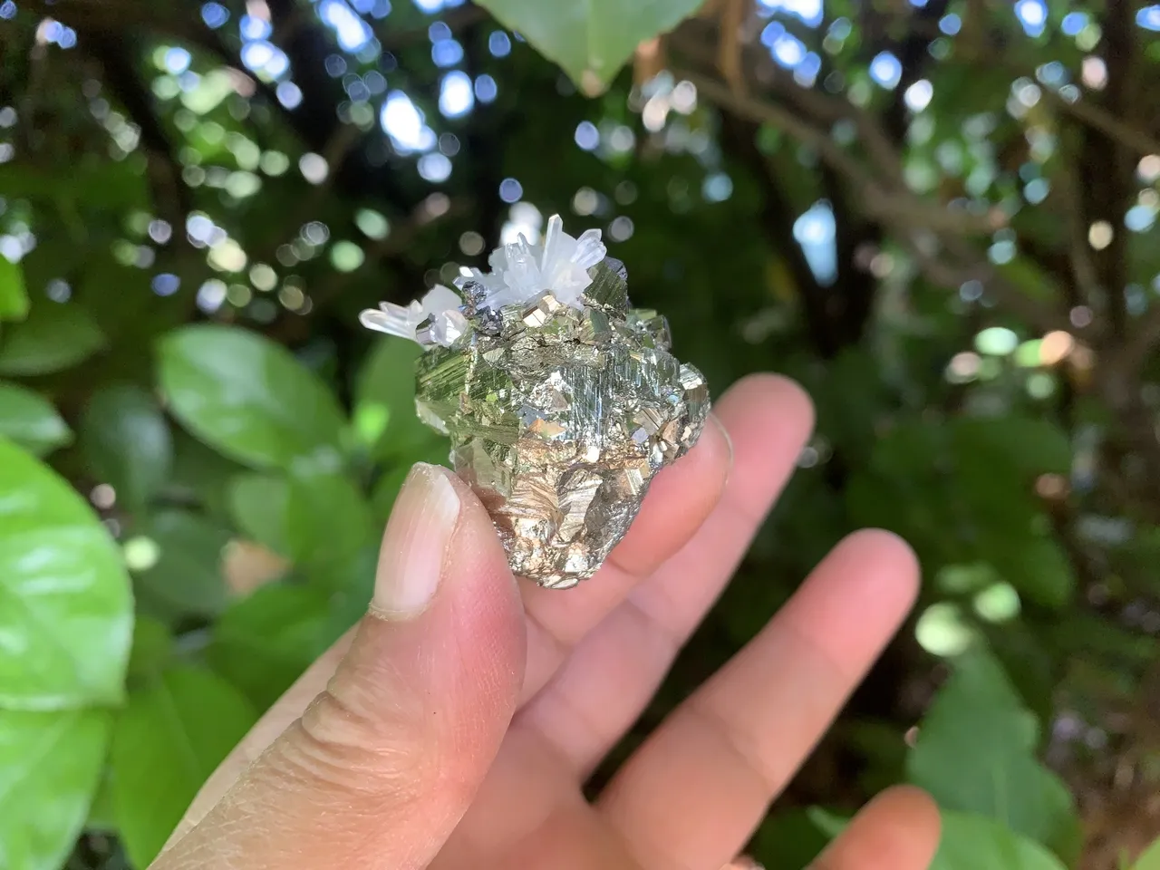 Pyrite et quartz aciculaire avec sphalérite – spécimen du Brésil