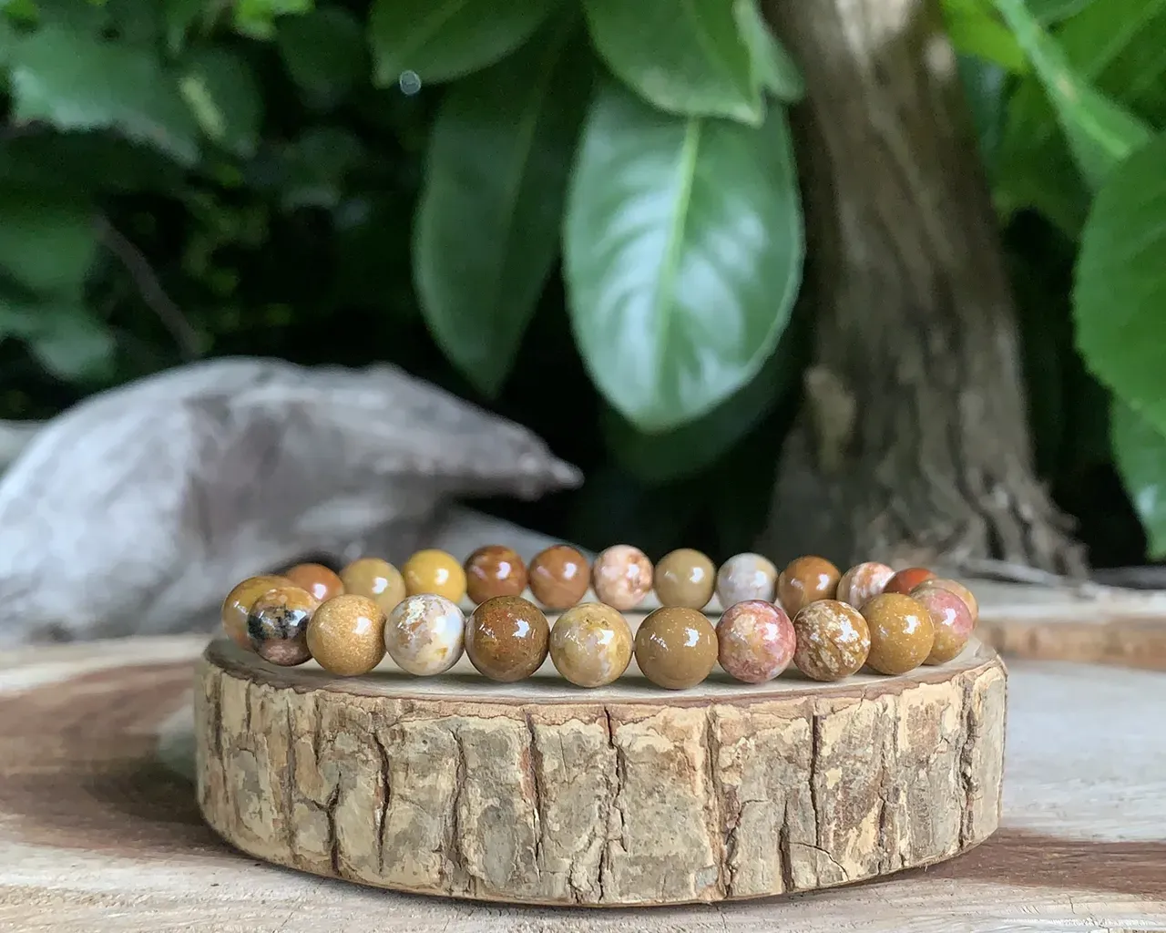 Bracelet Bois pétrifié A Naturel