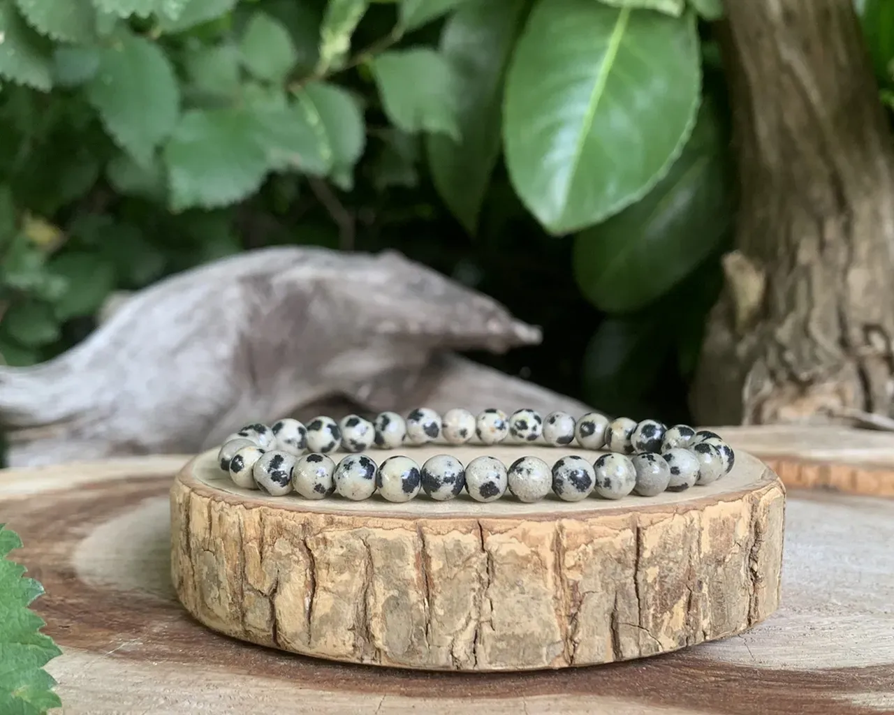 Bracelet Jaspe Dalmatien A Naturel - Mexique Bracelet Jaspe Dalmatien A Naturel - Mexique