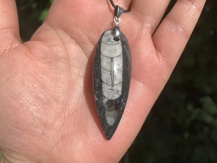 Pendentif Orthoceras naturel — fossile de nautiloïde orthocone - Maroc