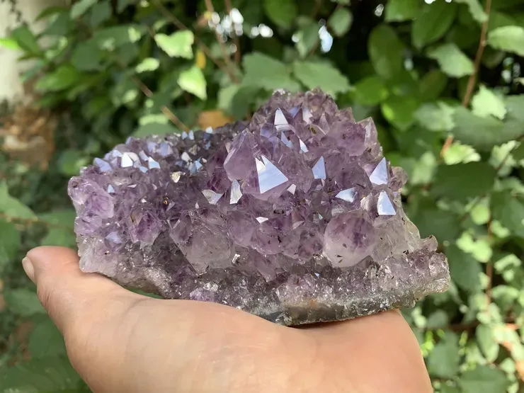 Amas Améthyste AAA naturelle | Sélection pour praticiens énergétiques Amas Améthyste AAA naturelle | Sélection pour praticiens énergétiques