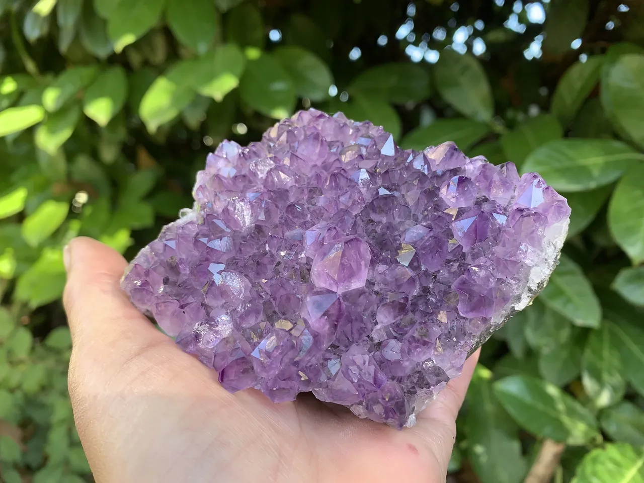 Amas Cristaux Améthyste Naturelle A Brésil (438 g)