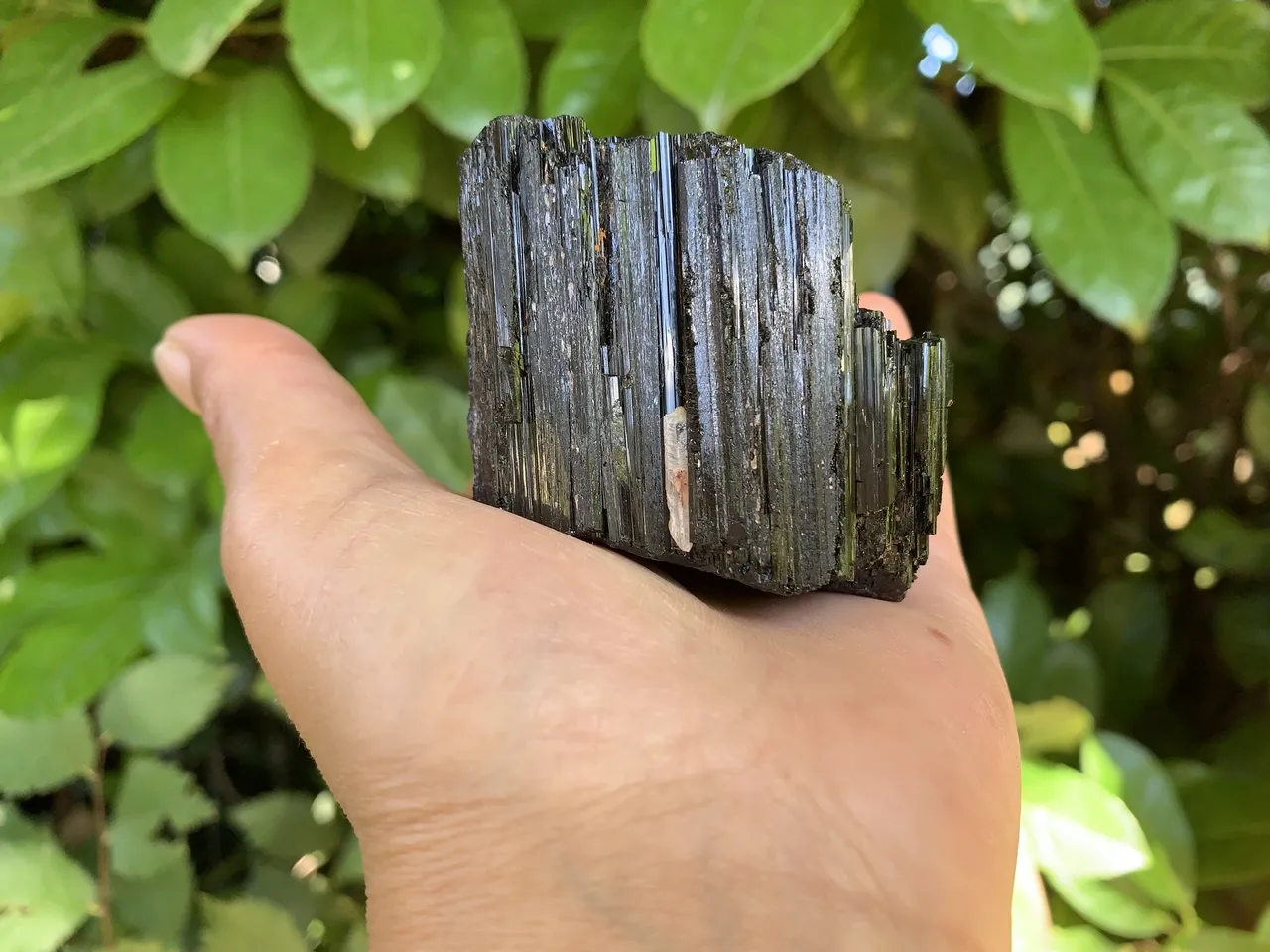 Tourmaline noire cathédrale cristallisée | Cristal naturel pour praticiens énergétiques