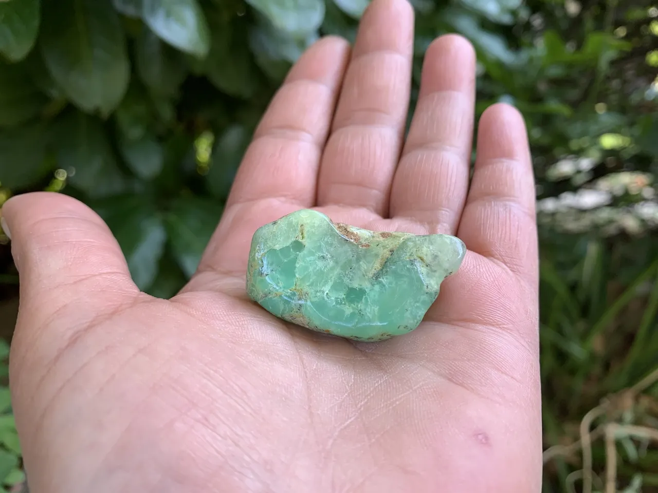 Pierre polie Chrysoprase AA+ naturelle — Australie