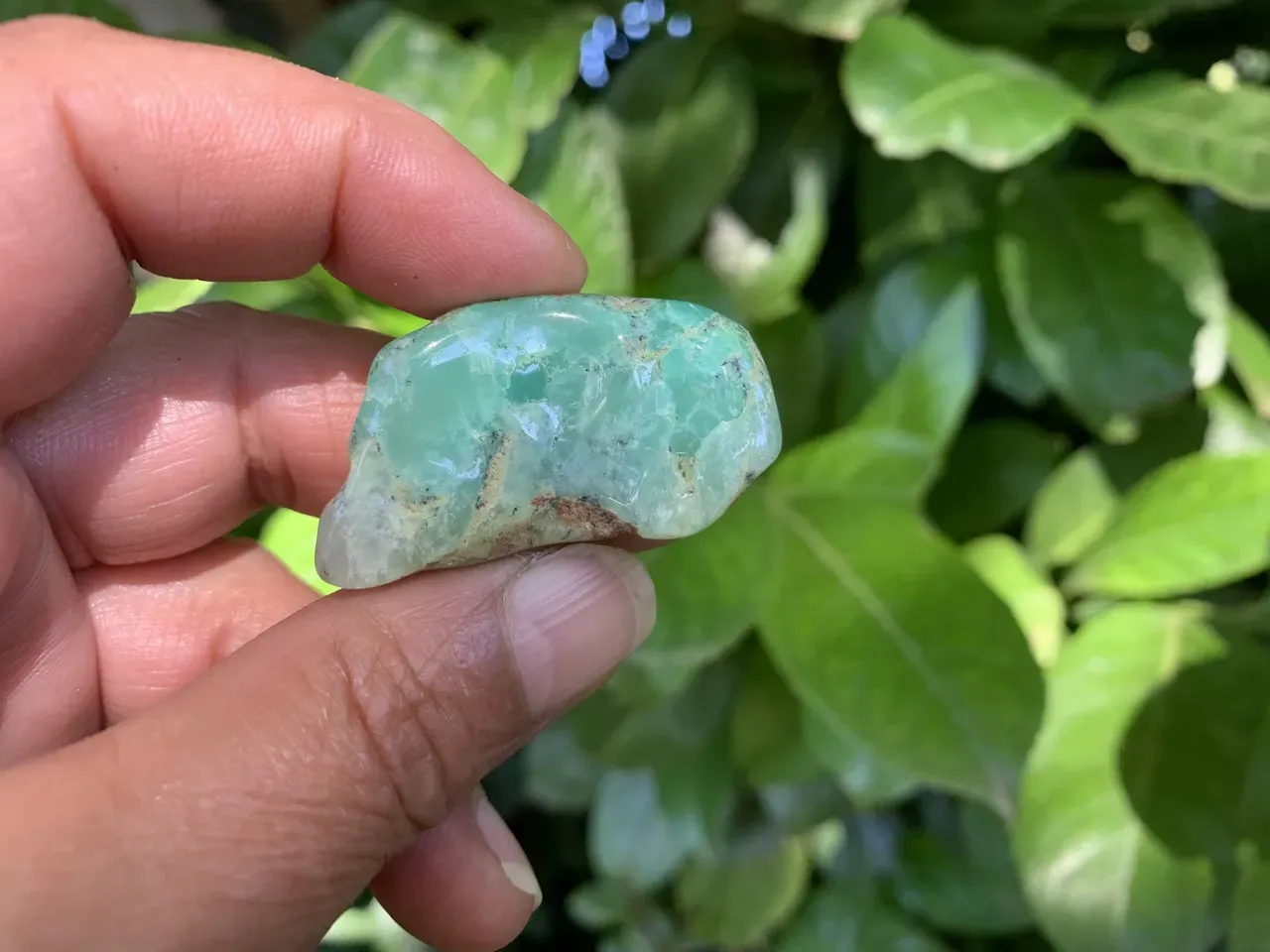 Pierre polie Chrysoprase AA+ naturelle — Australie