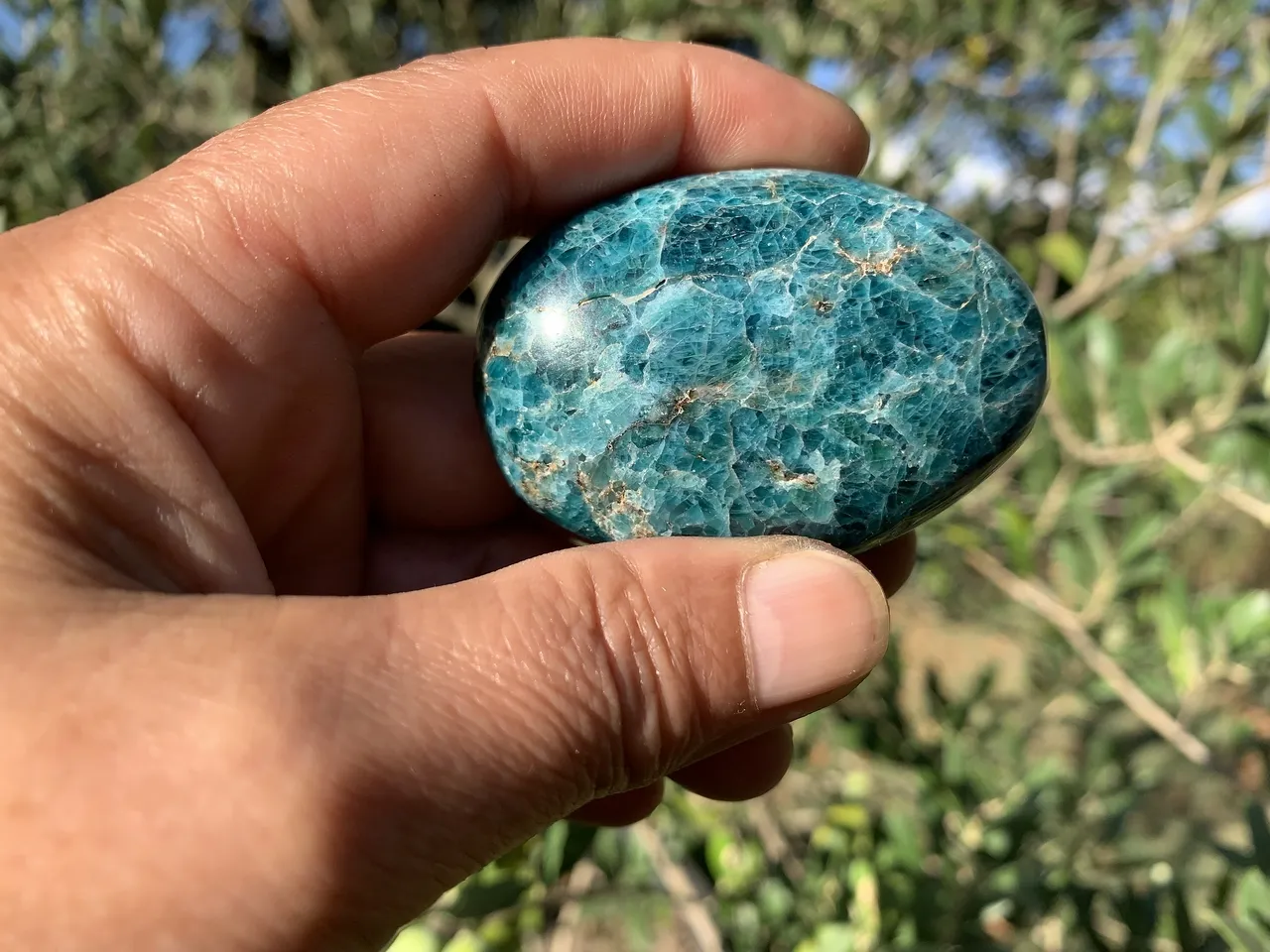 Galet Apatite Bleue AA (100 g) - Madagascar - Pierre Naturelle Qualité Supérieure