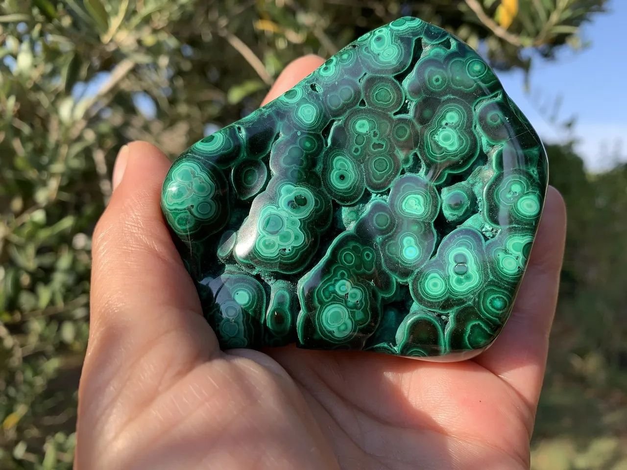 Malachite AAA naturelle — Support minéral poli | Pour praticiens énergétiques