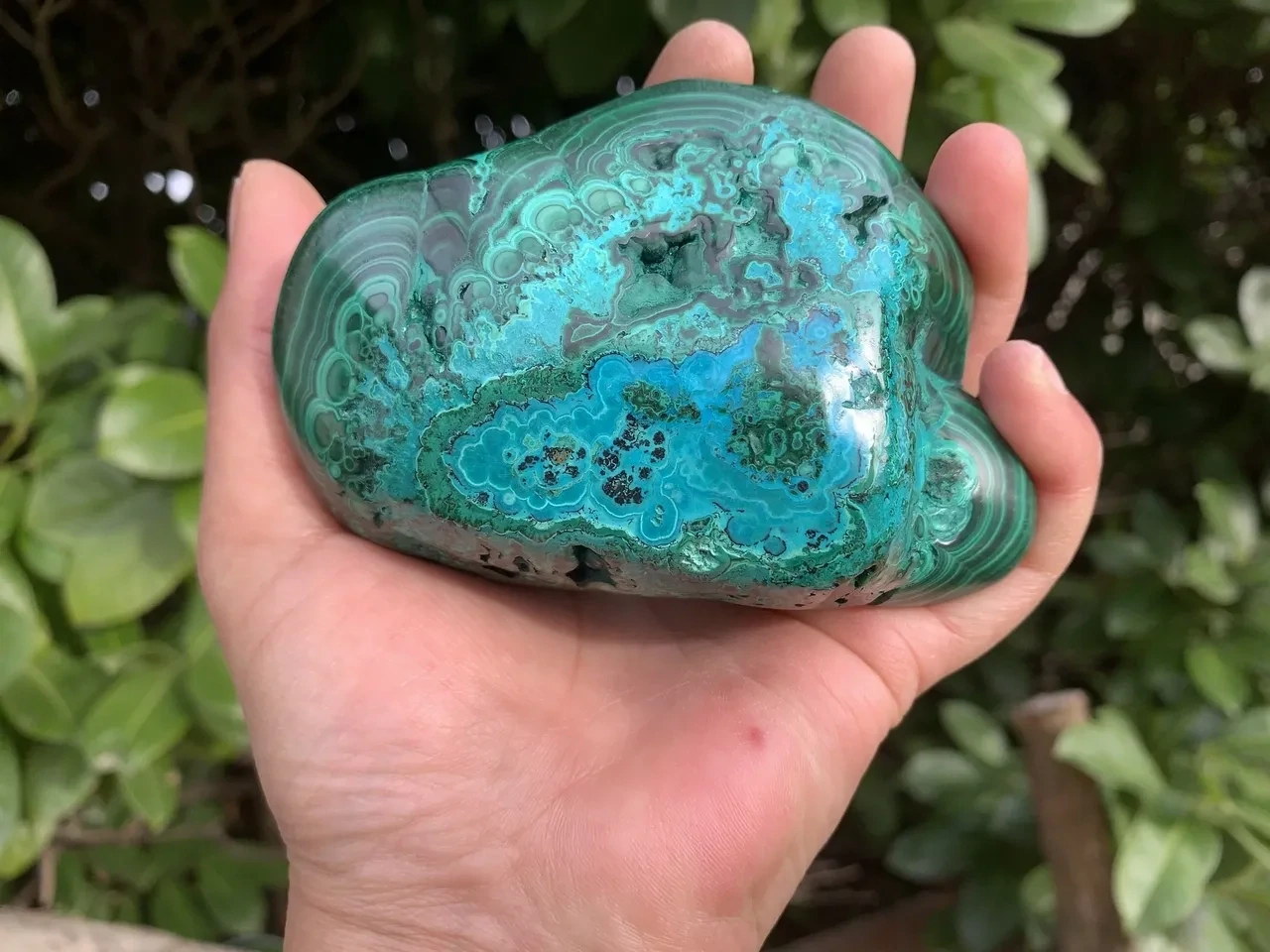 Malachite & Chrysocolle du Congo - Spécimen naturel remarquable