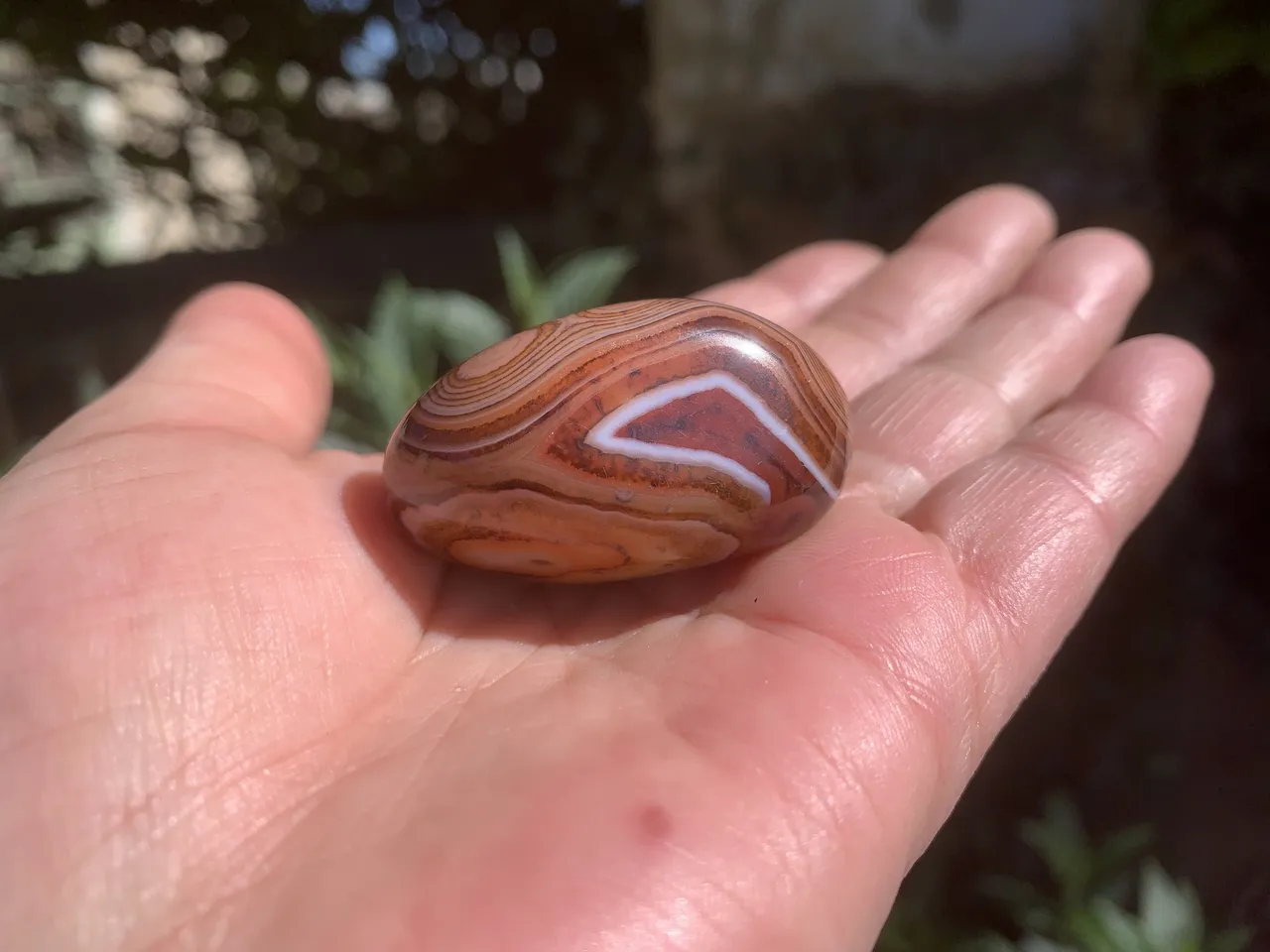 Galet Sardonyx AA naturel — Botswana