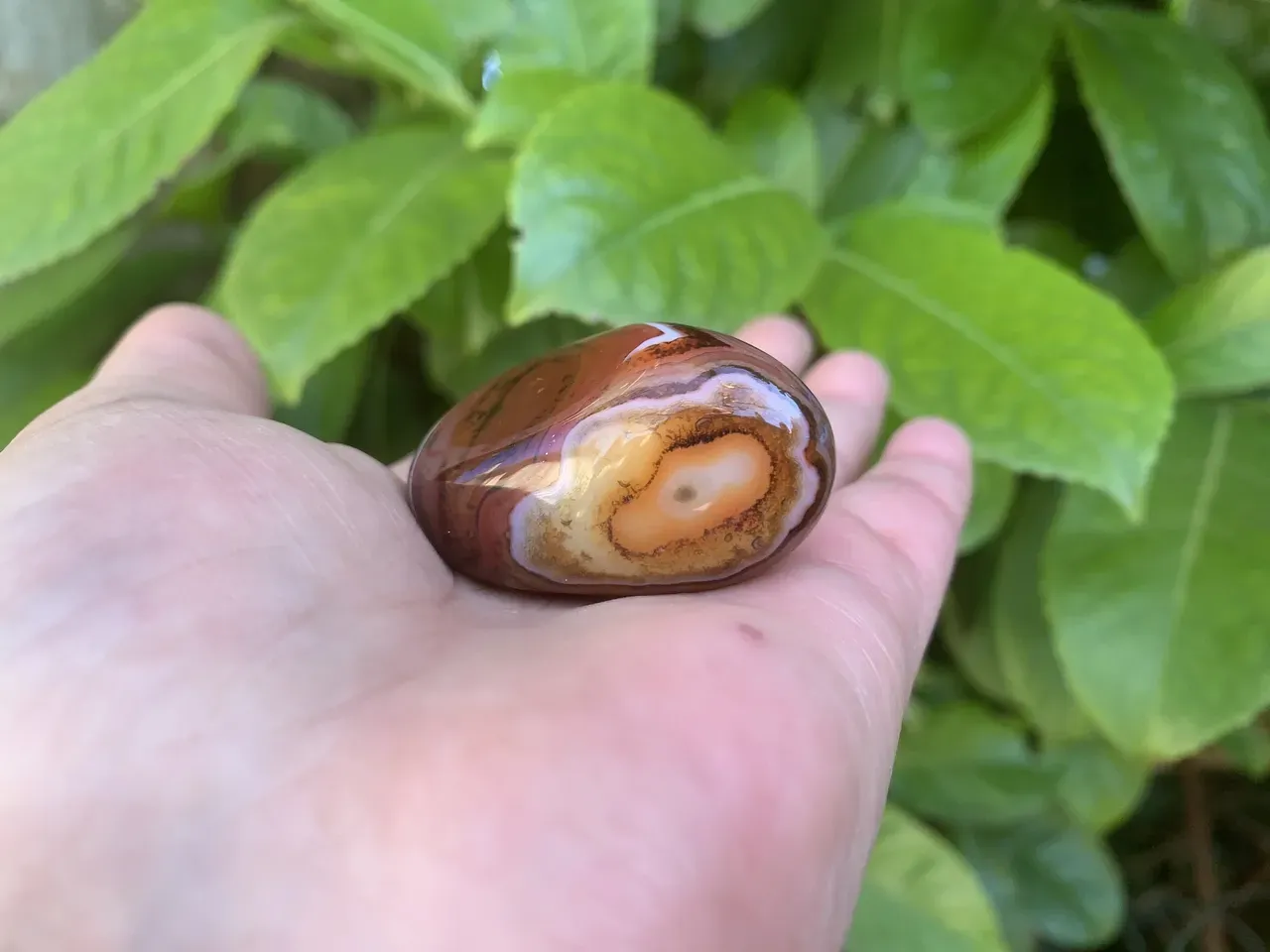 Galet Sardonyx AA naturel — Botswana