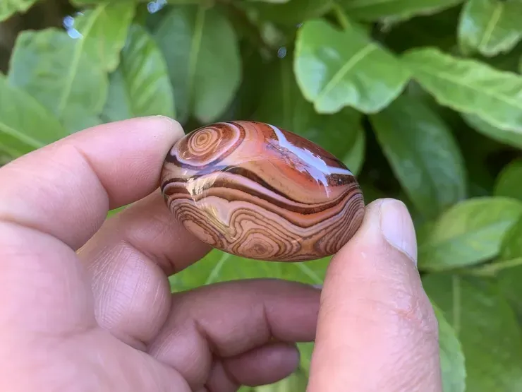 Galet Sardonyx AA - Pierre Naturelle Rare Qualité Supérieure Botswana