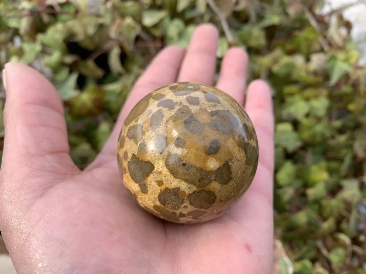 Sphère Jaspe léopard AA naturelle — 4,7 cm (153 g) — Brésil