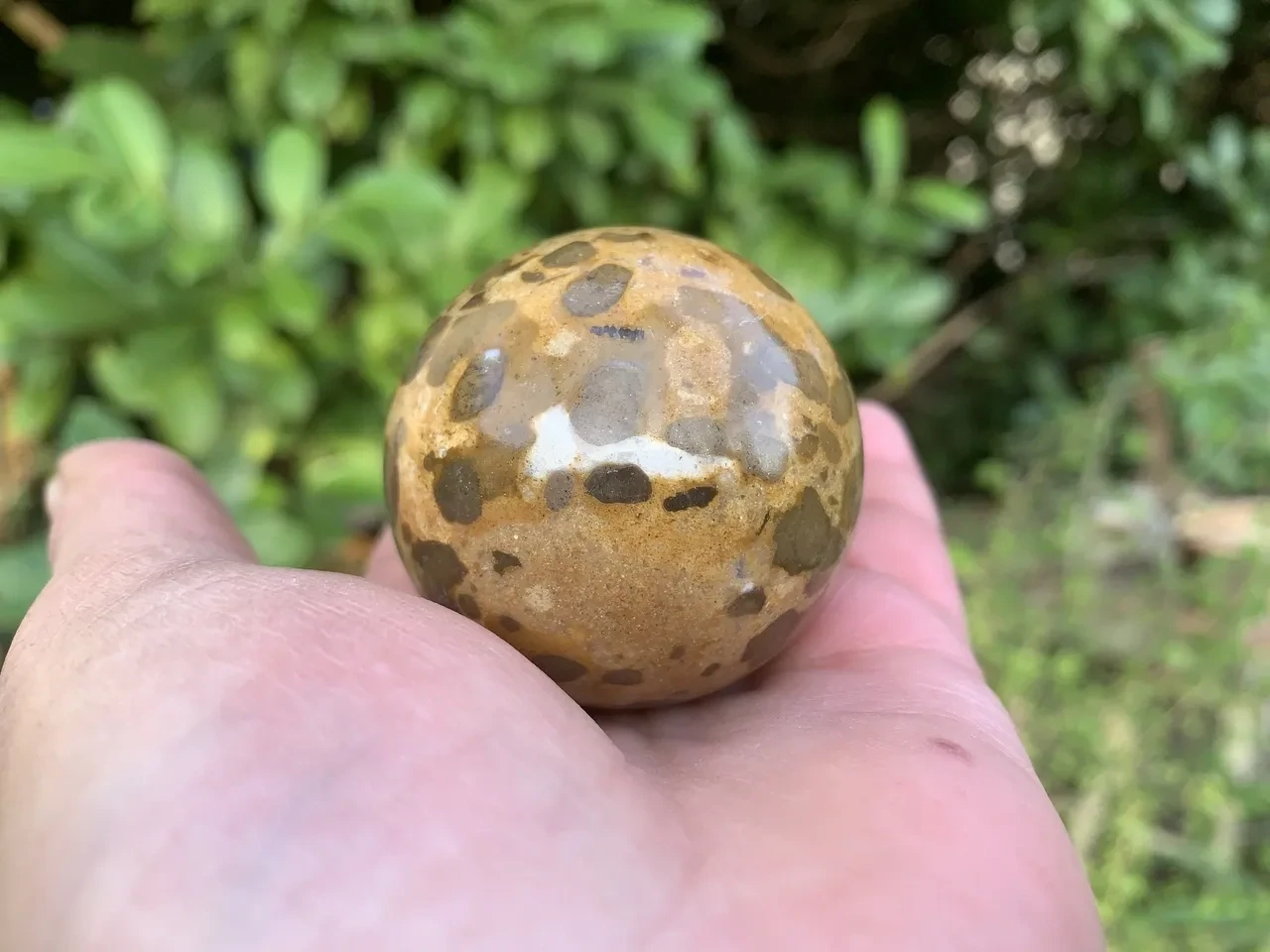 Sphère Jaspe léopard AA naturelle — 4,7 cm (153 g) — Brésil