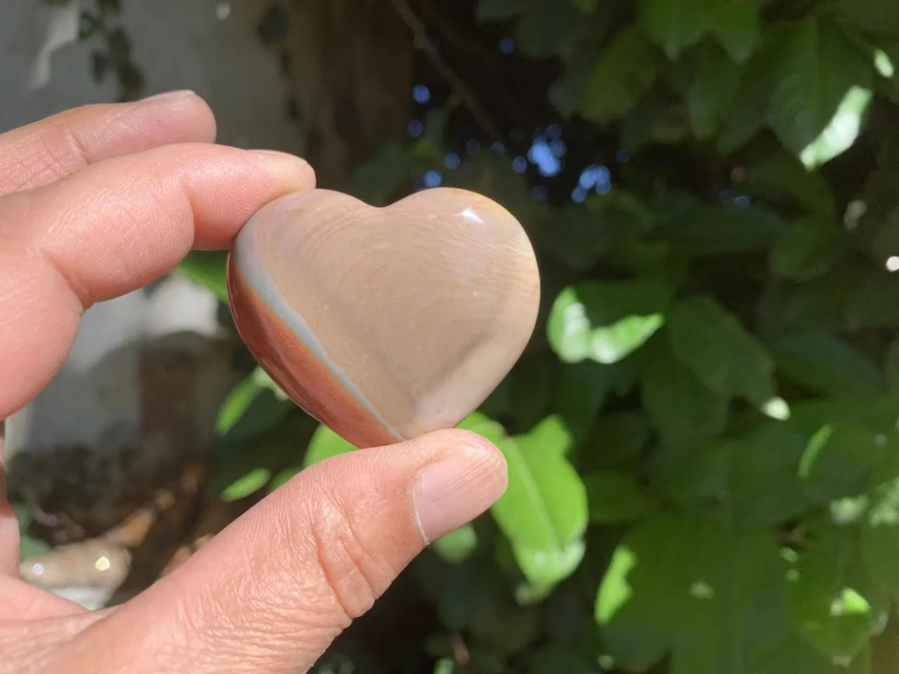 Cœur Jaspe mokaïte AAA naturel — Australie