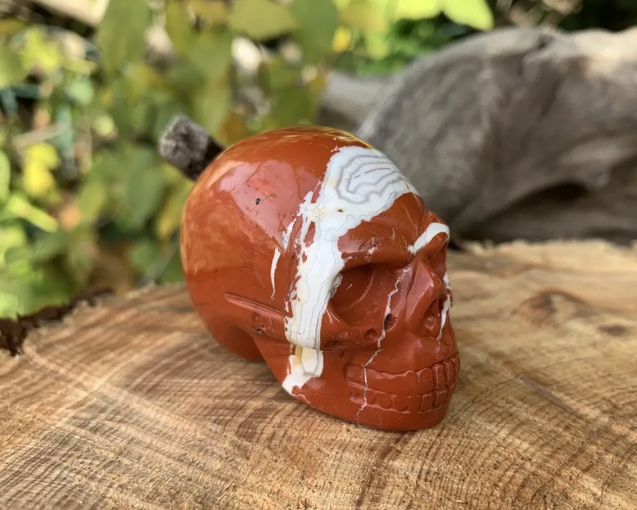 Crâne Jaspe Rouge A (50 mm) Pierre Naturelle Afrique du sud
