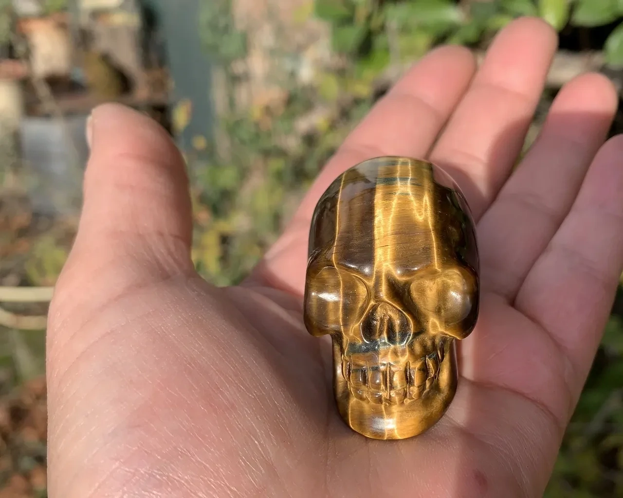 Crâne Œil-de-Tigre AA (50 mm) Afrique du sud - Pierre Naturelle Qualité Supérieure