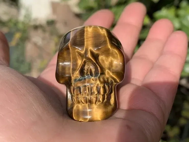 Crâne Œil-de-Tigre AA (50 mm) Afrique du sud - Pierre Naturelle Qualité Supérieure