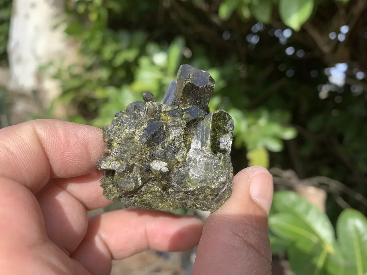 Épidote cristallisée  - Spécimen de collection - Pérou