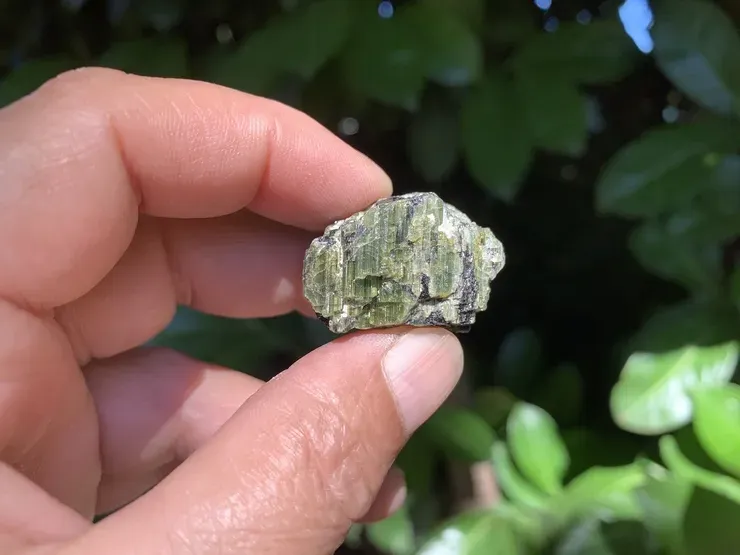 Tourmaline Verte Œil-de-chat A+ (19 g) - Brésil - Pierre Naturelle Rare