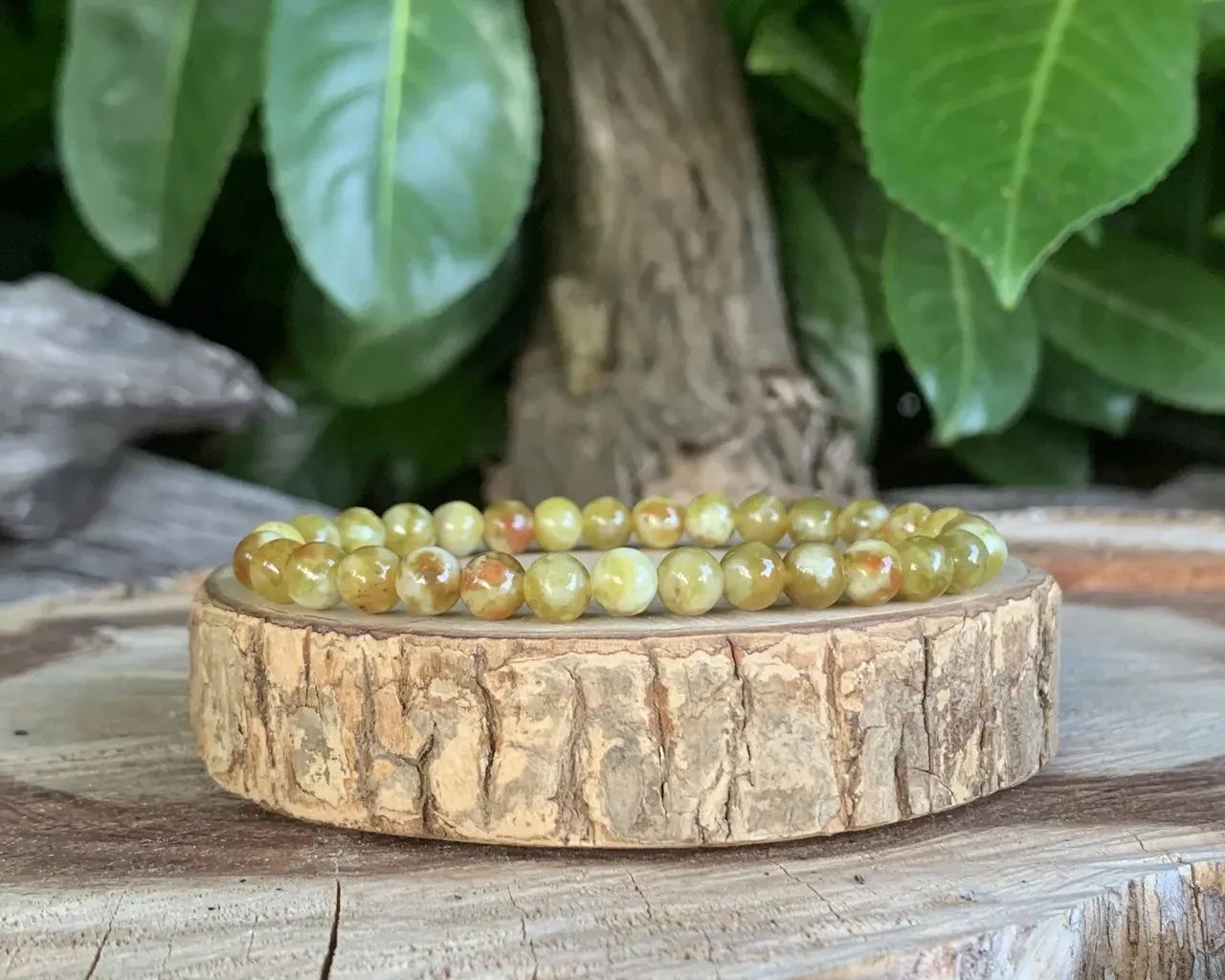 Bracelet Serpentine Dragon AA naturelle