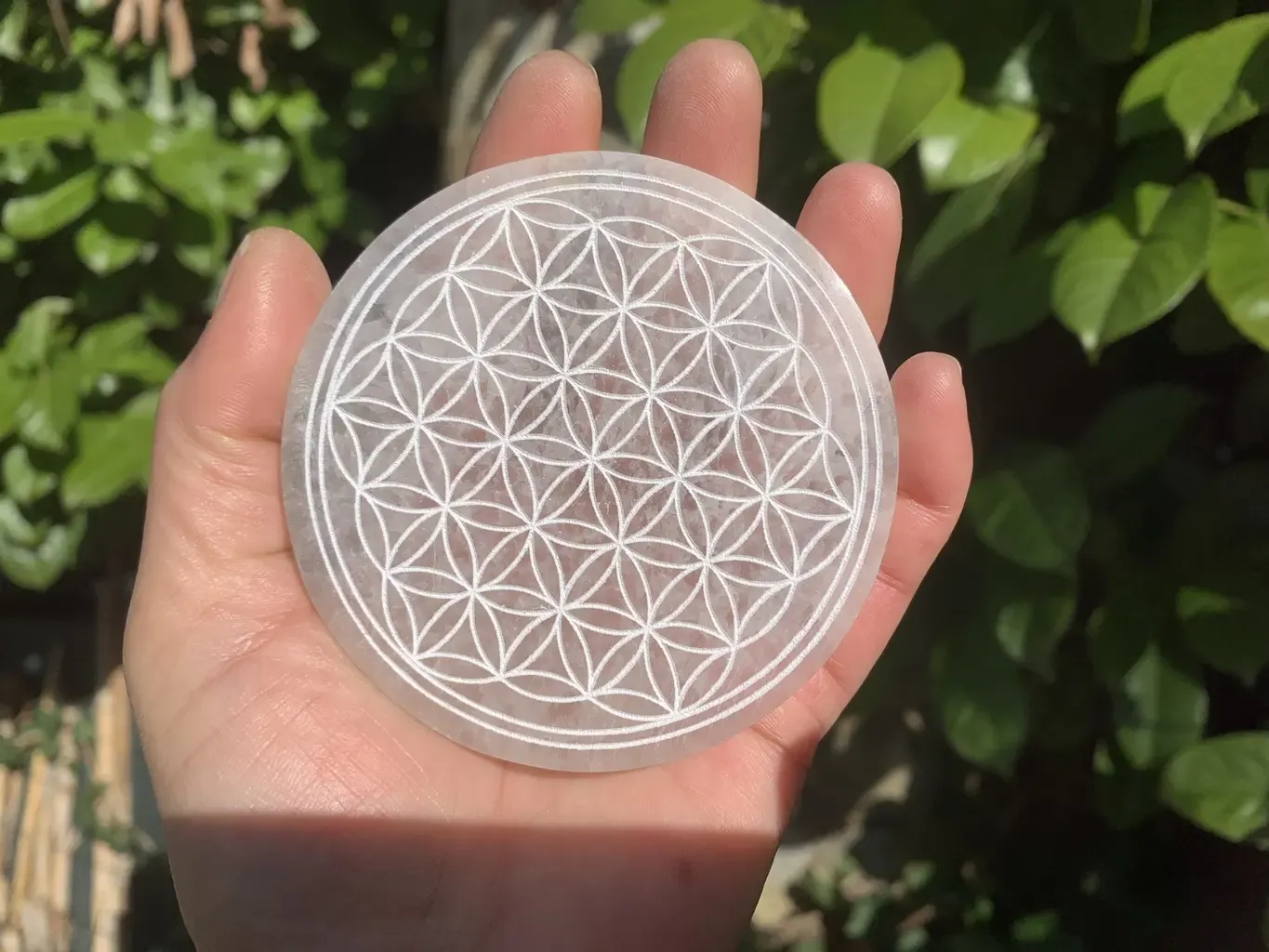 Fleur de Vie Sélénite A+ naturelle - Purification & Rechargement