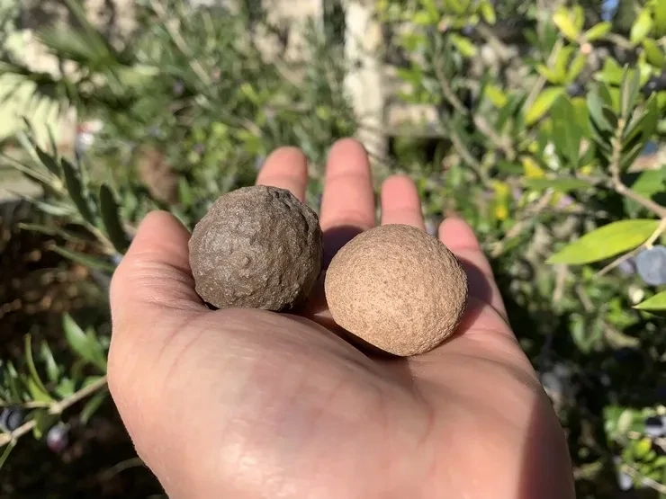 Couple Moquis marbles naturels 3,5 cm - USA | Pour praticiens énergétiques