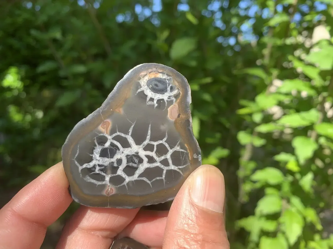 Nodule ouvert de Septaria – Spécimen de collection – Maroc