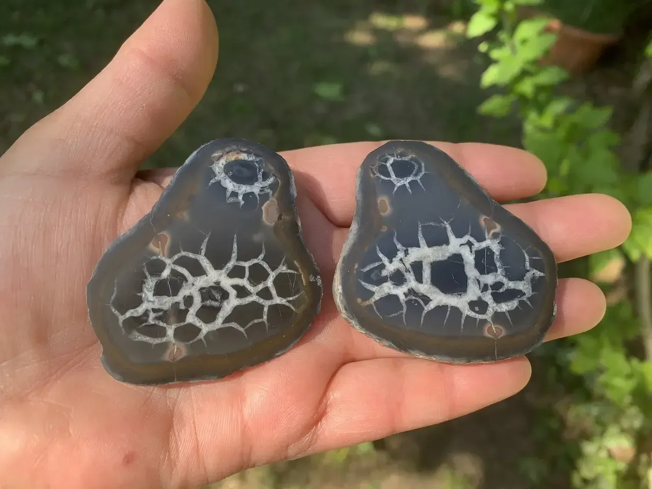 Nodule ouvert de Septaria – Spécimen de collection – Maroc