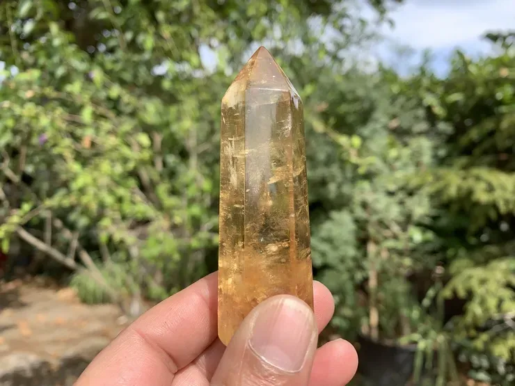 Pointe de calcite miel naturelle Extra (dextrogyre) du Mexique