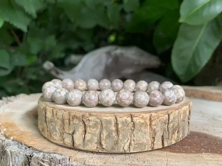 Bracelet Jaspe fossile AA naturel — Inde