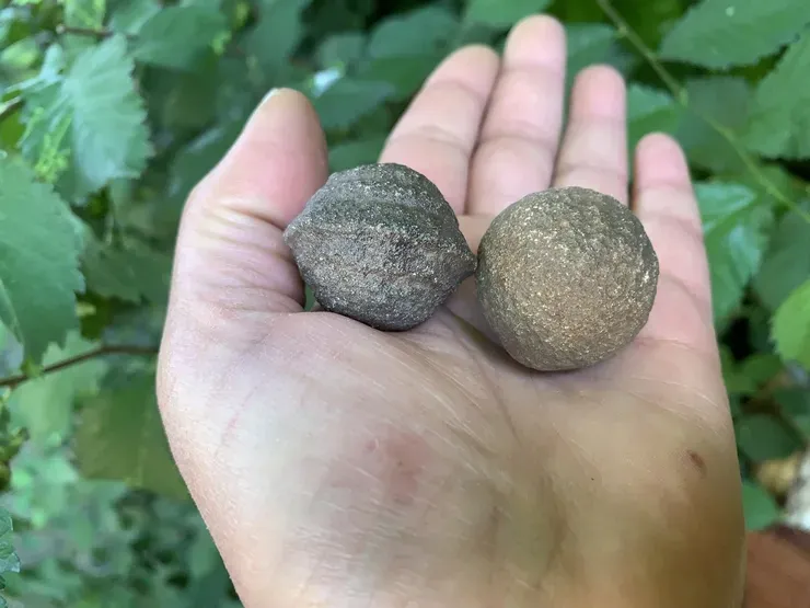 Couple Moqui ball Naturel 30 mm - USA - Pierres Chamaniques Rares