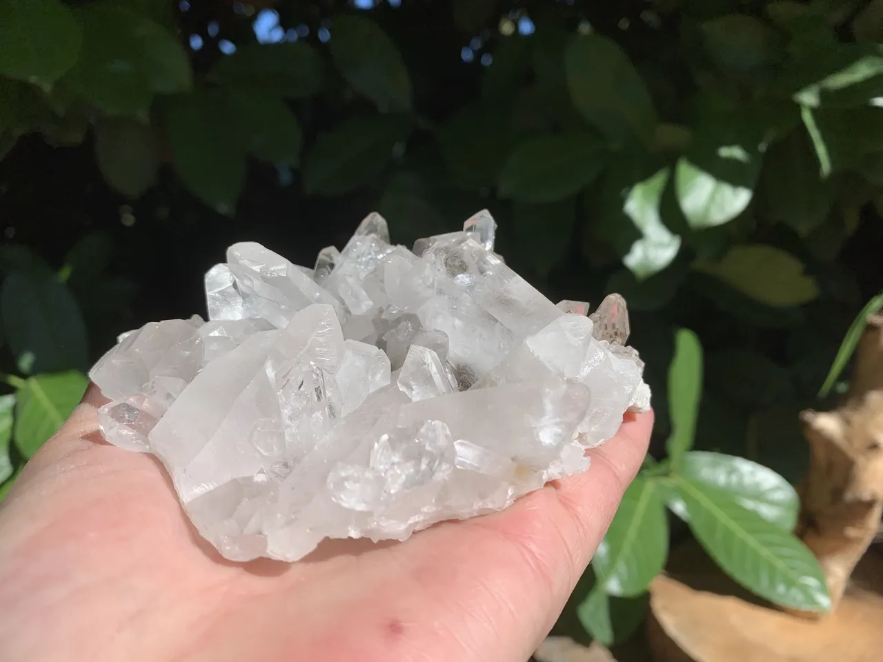 Amas Quartz A du Brésil – Cristaux naturels multi-pointes