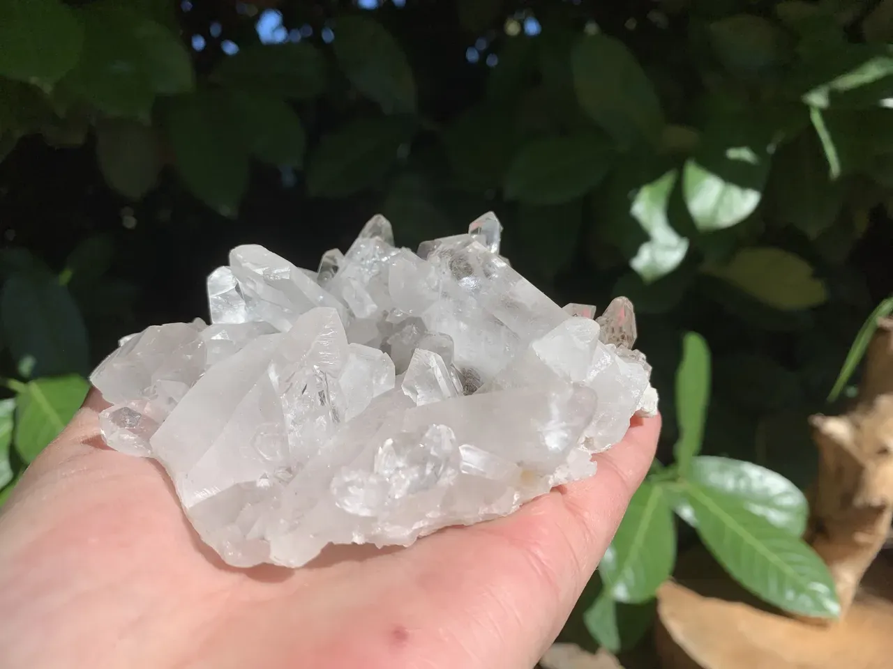 Amas Quartz A du Brésil – Cristaux naturels multi-pointes