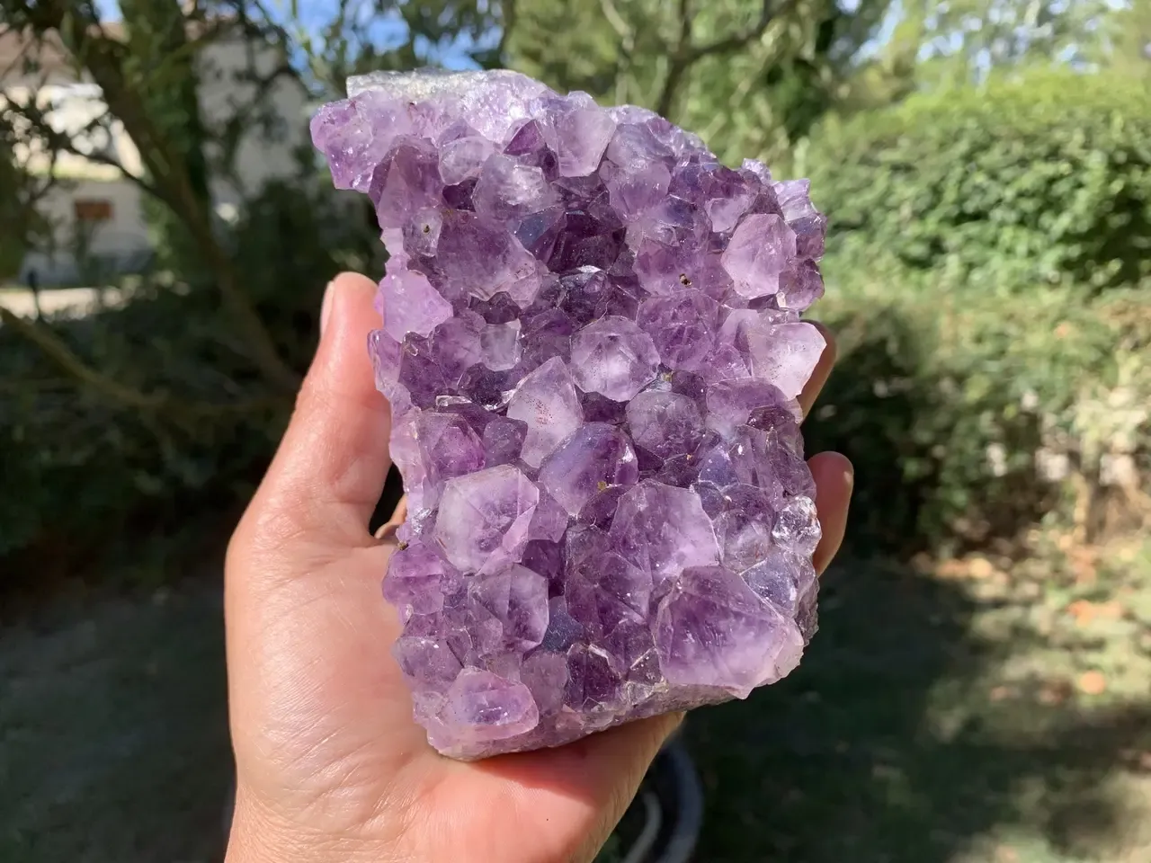 Druse d’améthyste naturelle du Brésil — cristaux violets — inclusions de fer