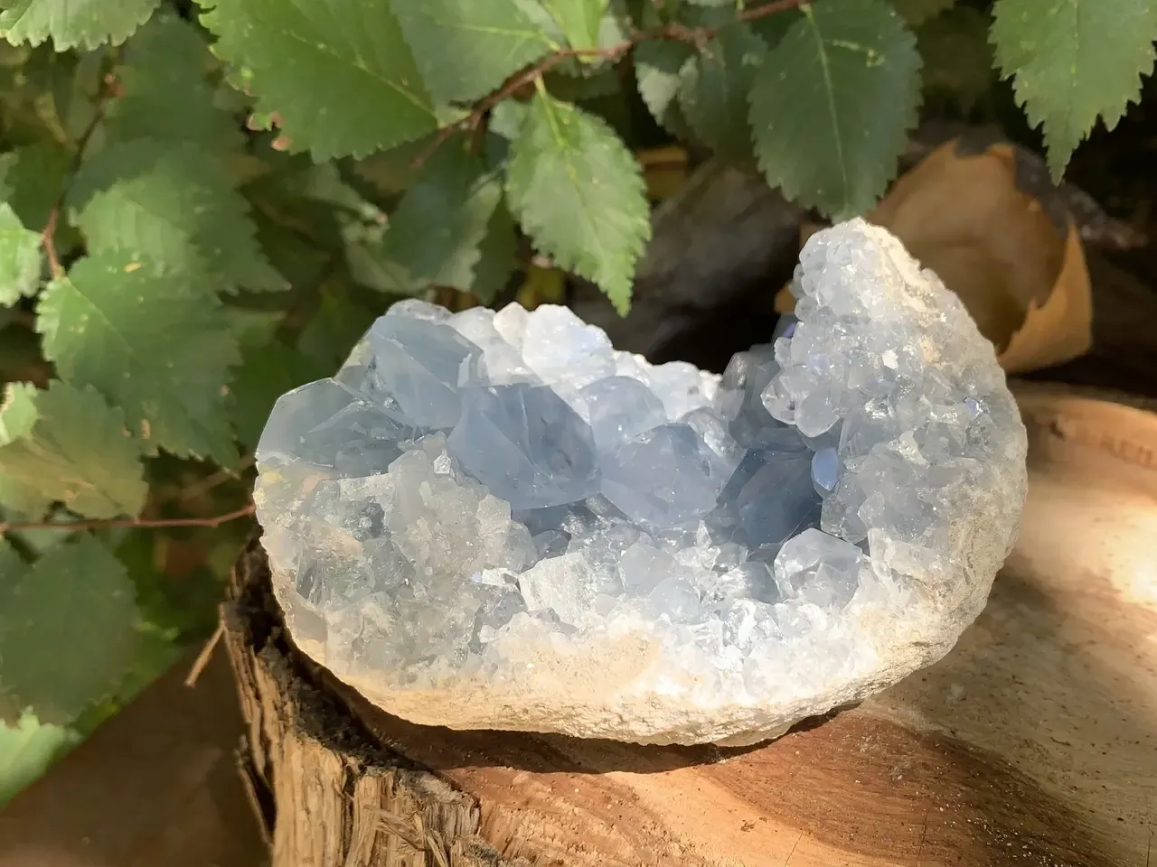 Célestine de Madagascar — Géode naturelle à cristallisation dense