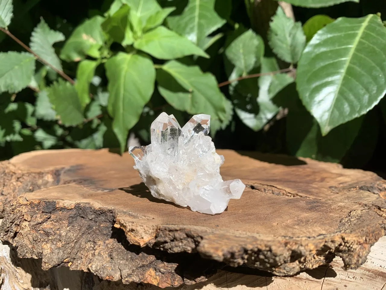 Male de Quartz hyalin naturel