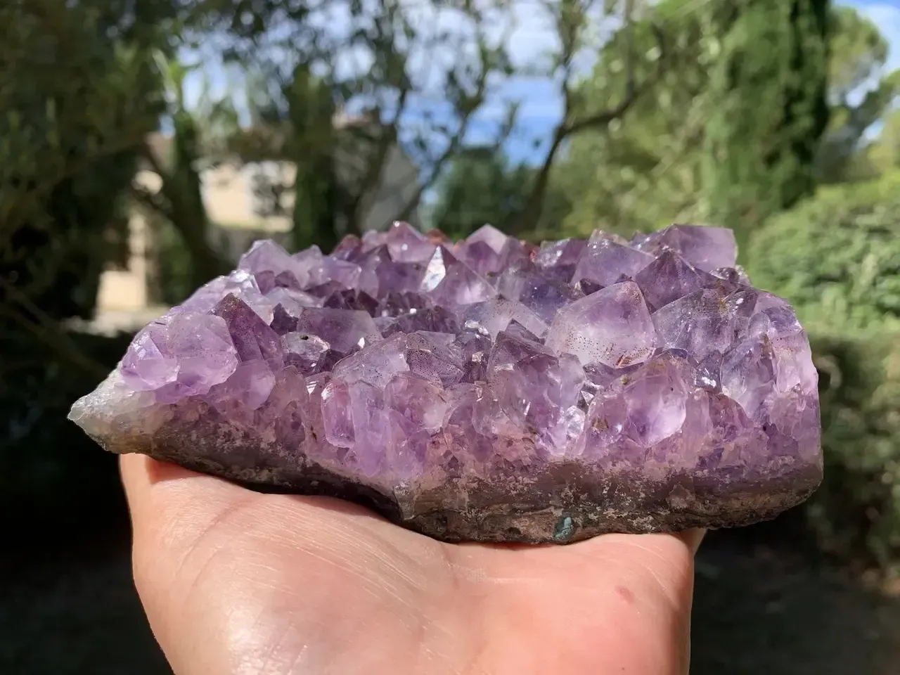 Druse d’améthyste naturelle à inclusions de fer — Brésil