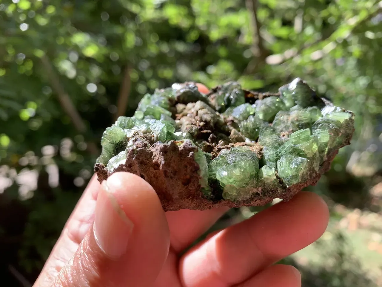 Vivianite verte sur matrice – Géode ouverte – Brésil